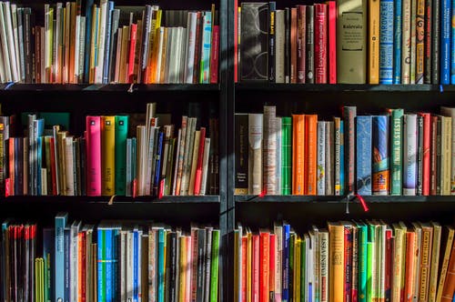 Politics now fuel book bans, not sex or violence