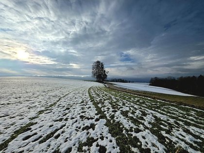 Bilder von einer Wanderung in Perg und Umgebung
