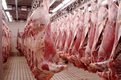 Beef cutout slide weighs on CME cattle for fifth session - CME