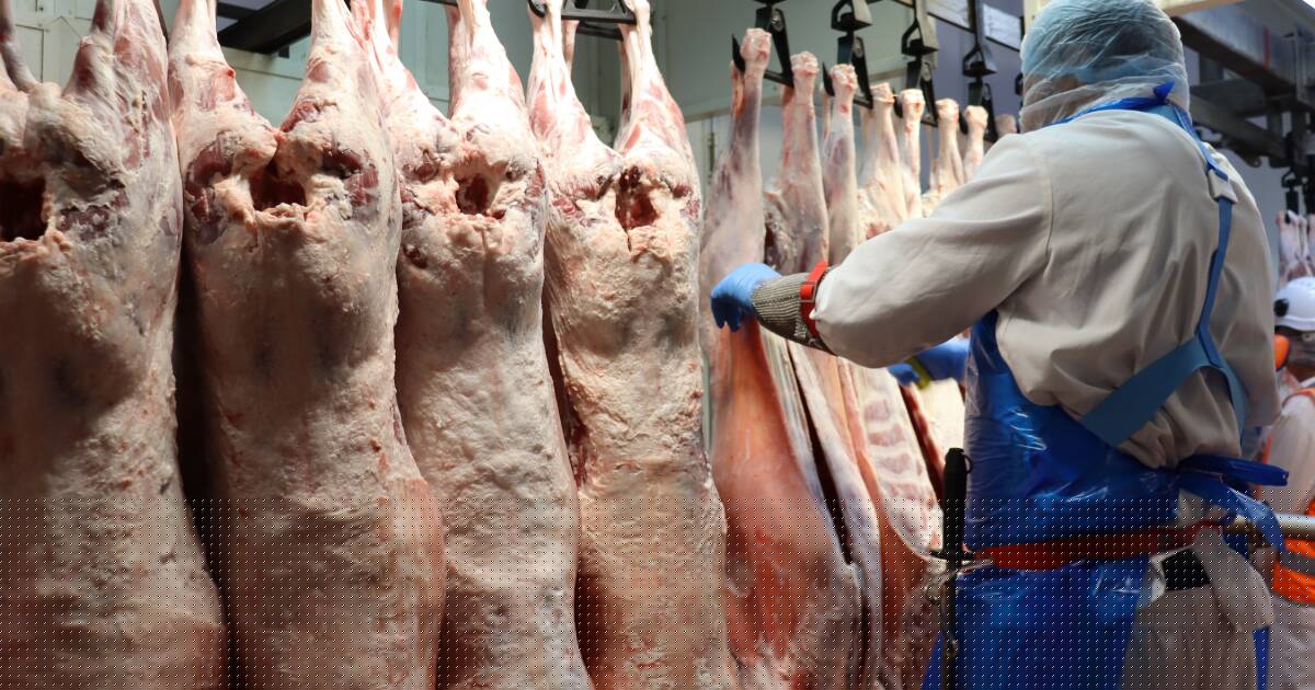 Mutton breaks new ground in real terms, but is lamb as high as it seems?