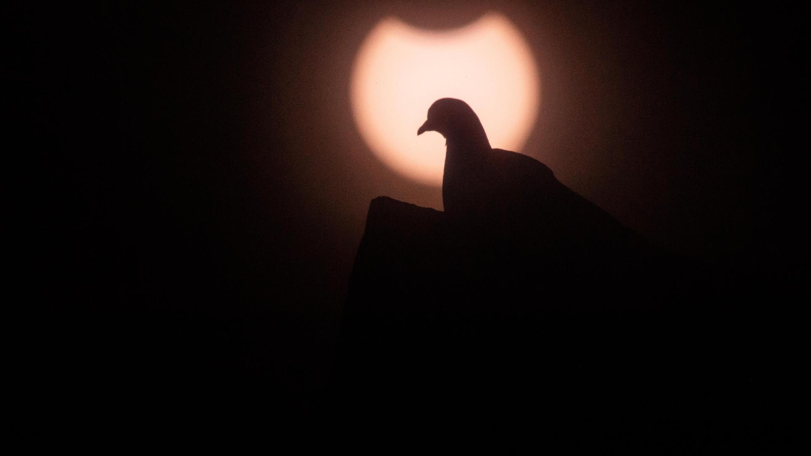 Die sechs besten Orte in Thüringen zur Beobachtung der Sonnenfinsternis