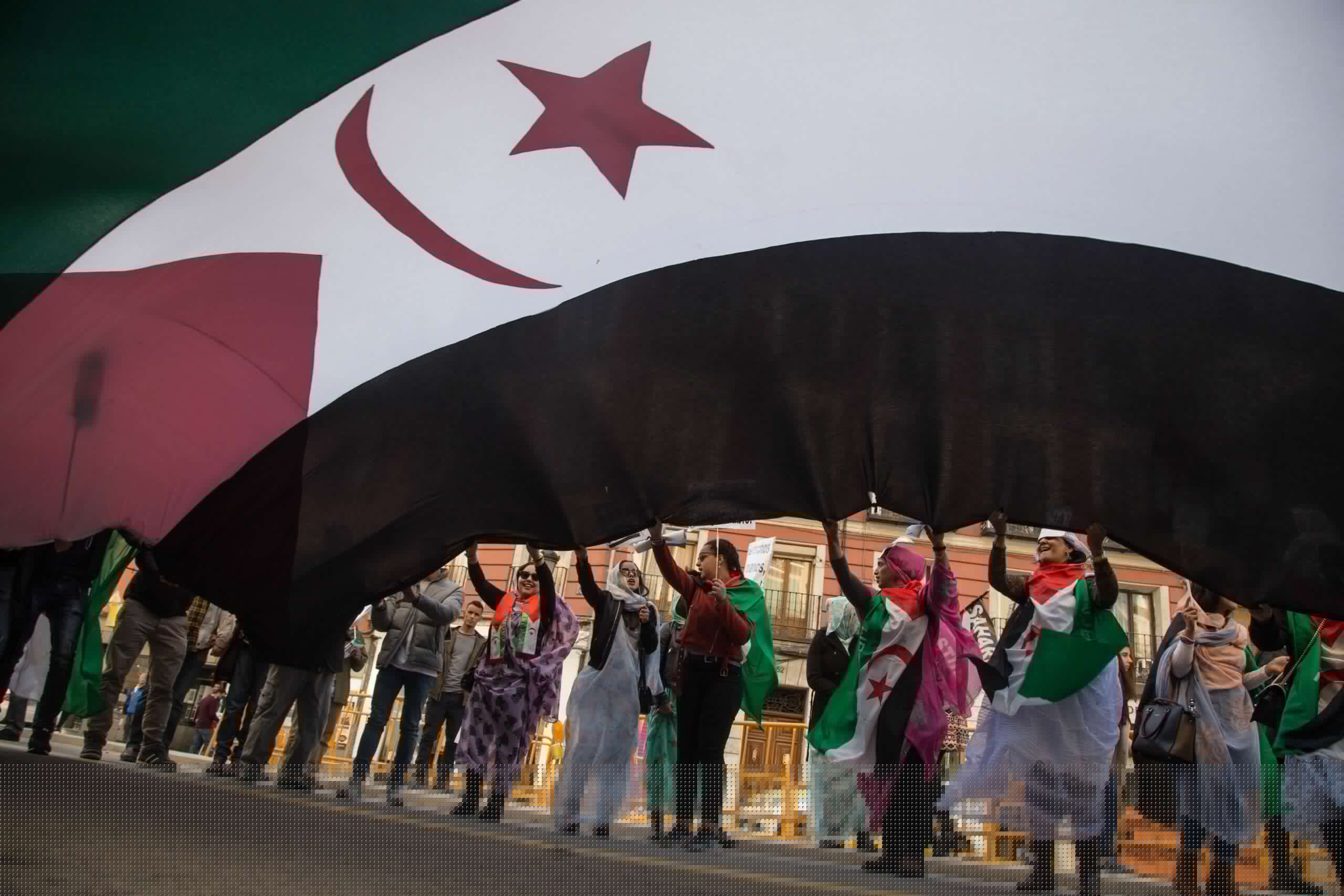 The Odyssey Is Facing a Boycott for Filming in Occupied Western Sahara