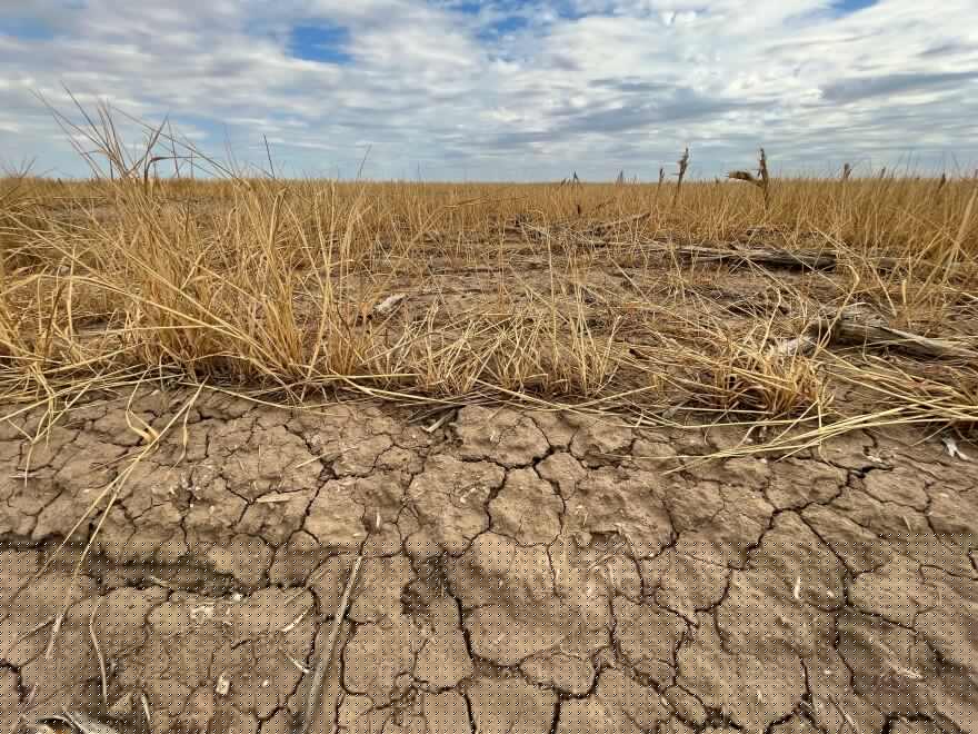 Farmer Trusted AI After It Gave Good Advice, Then It Helped Wipe Out 25 Acres of His Crops