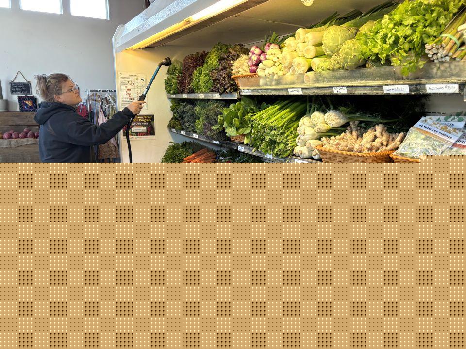 Buying less, trading down: High grocery prices will hurt produce growers