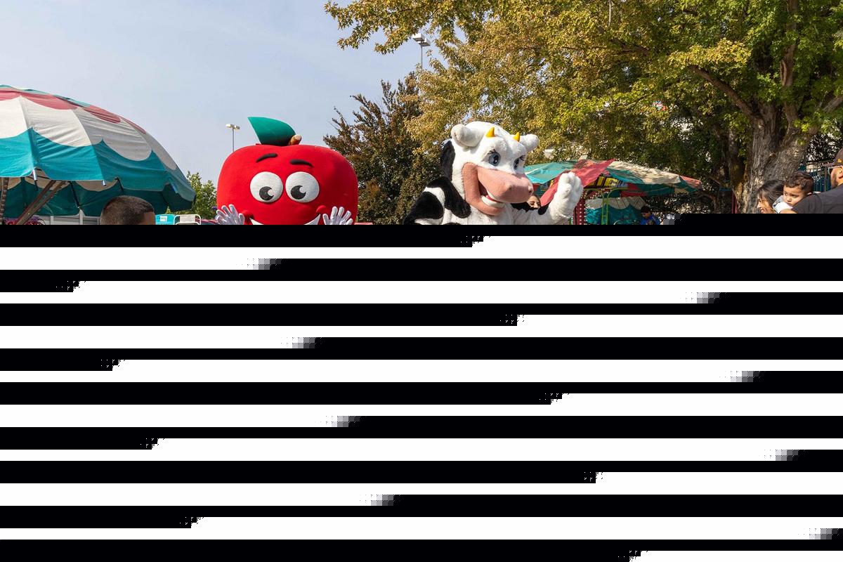 6 New Things At This Years Fair