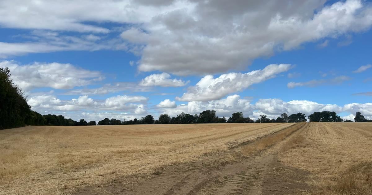 'It will destroy a place of beauty' - Fresh objections over 900-home Andover scheme
