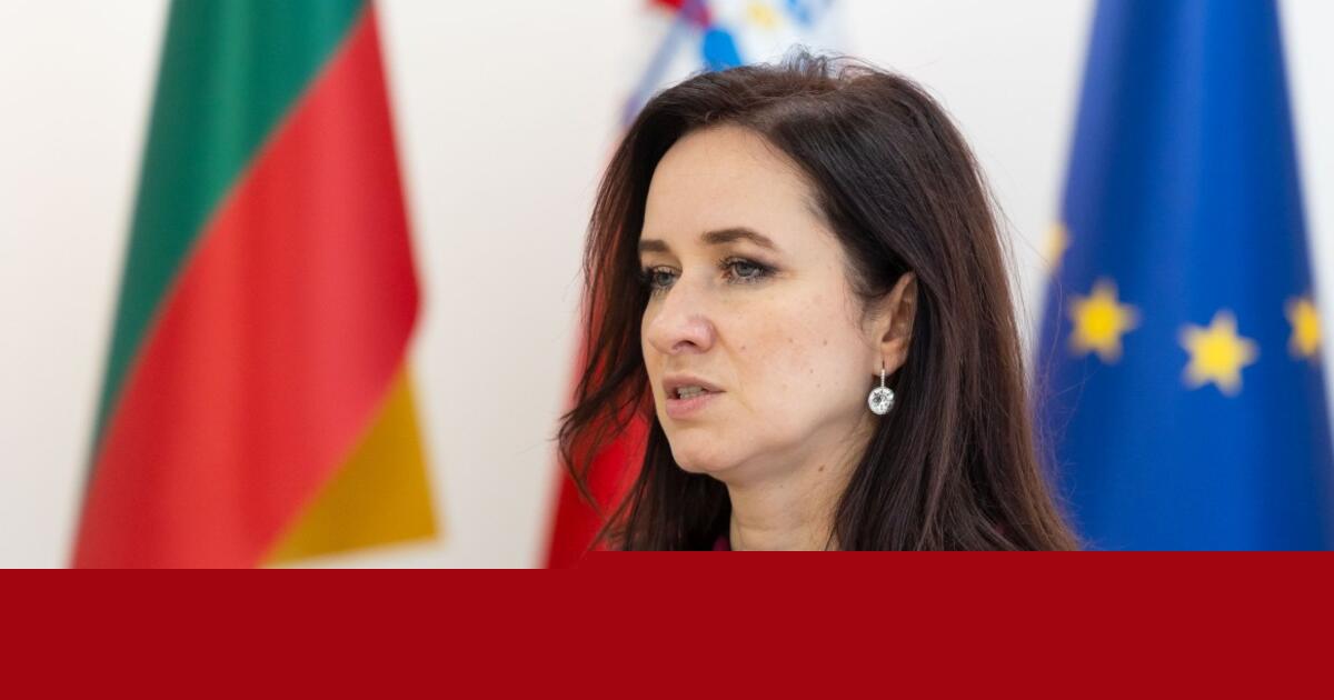 Ruginienė: skauda širdį dėl kultūros atstovų reakcijos, iš ministro reikalausiu pagarbos