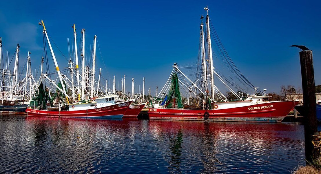US shrimp industry scores over $23m in FY ’26 funding ahead of ICE fight