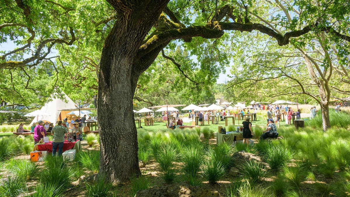2026 Taste of Yountville