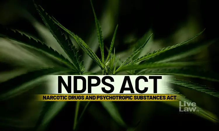 NDPS Act | Accused Move Karnataka High Court Against Counting 'Non-Drug' Parts Of Cannabis Plant, Packaging In Ganja Quantity