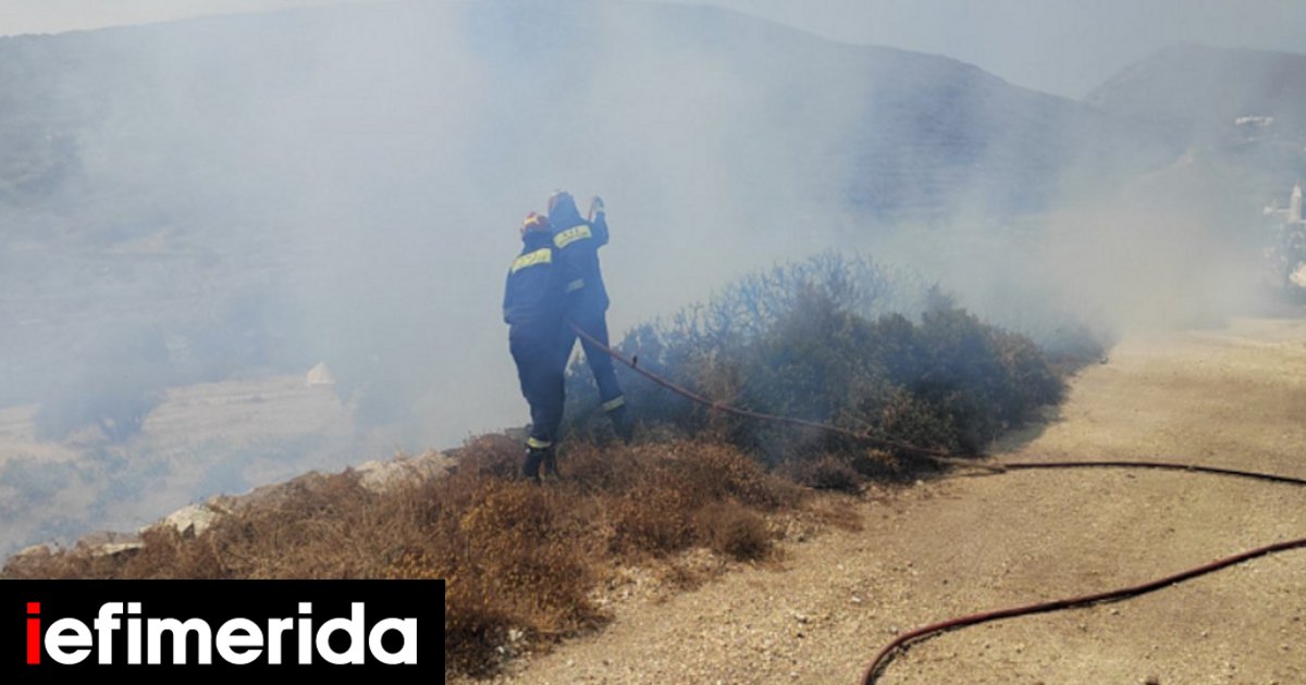 Πάρος: Συνελήφθησαν δήμαρχος, αντιδήμαρχος και δύο ακόμη άτομα για τη φωτιά στον ΧΥΤΑ