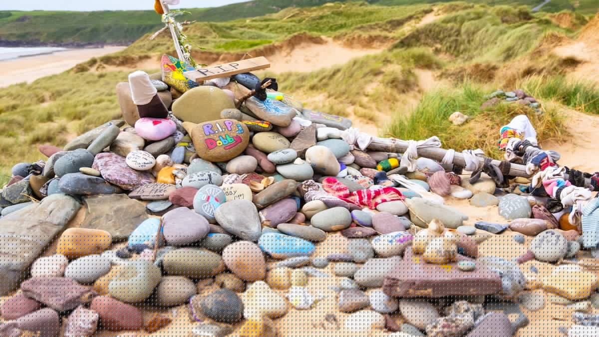 La "tombe de Dobby", l'elfe d'Harry Potter, menacée par des travaux : des fans de la saga font dévier un câble sous-marin de 502 millions d'euros