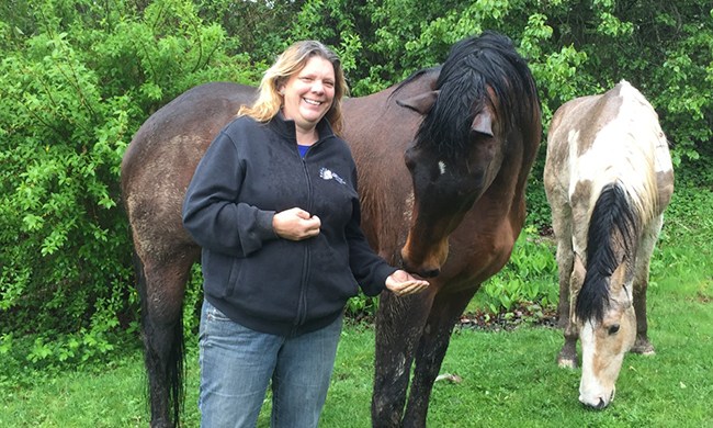 Horses as Healers