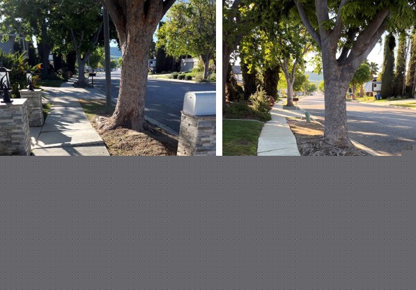 Major Oak Park sidewalk improvements delayed by six months