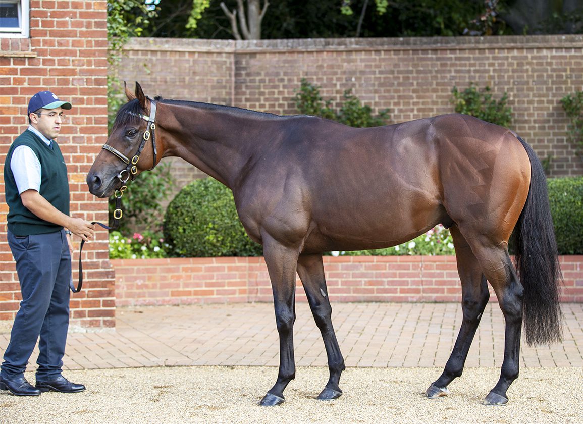 Group 1 Winner Lead Artist Set To Shuttle To Arrowfield Stud