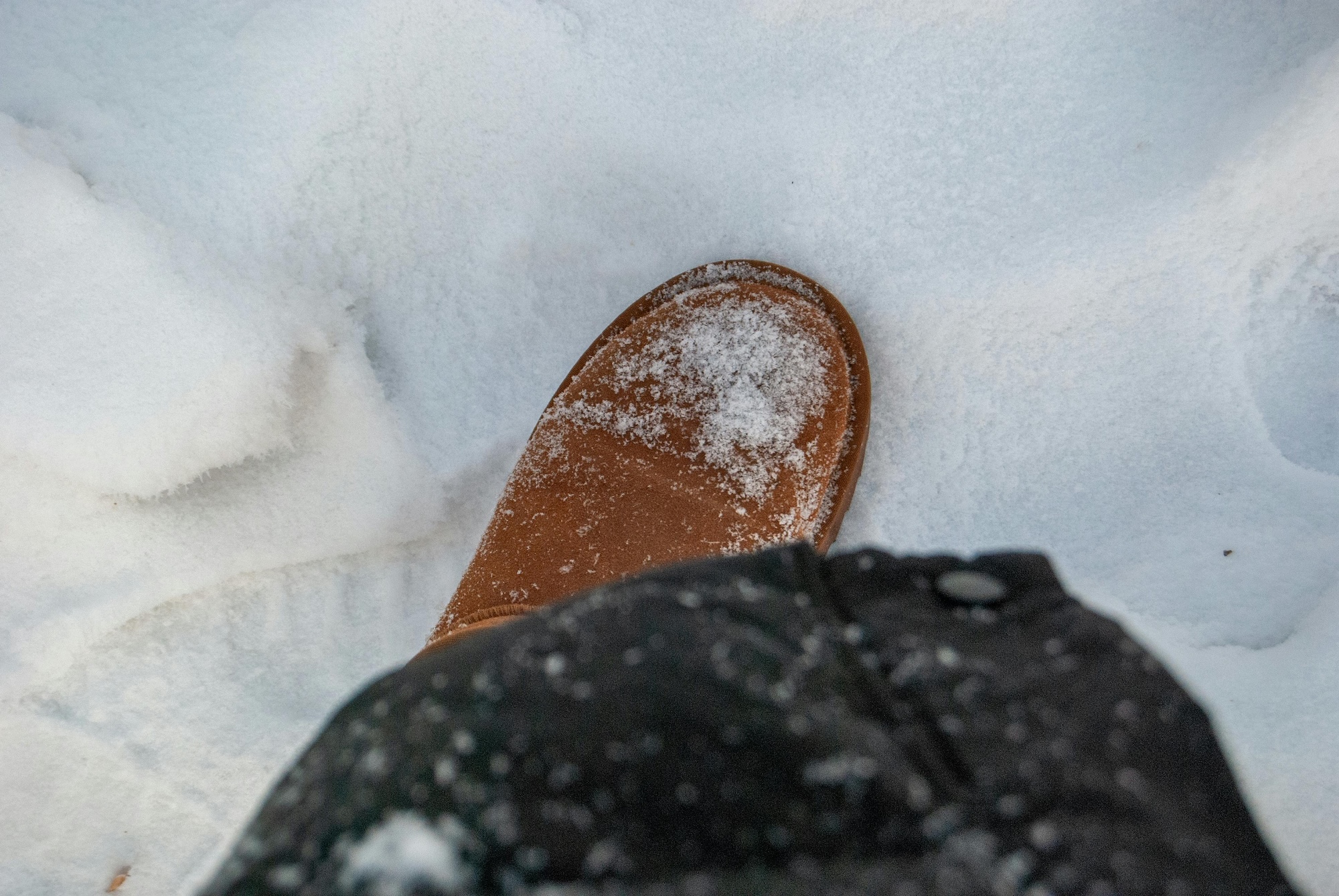 CPS calls on community to clear sidewalks for students’ return