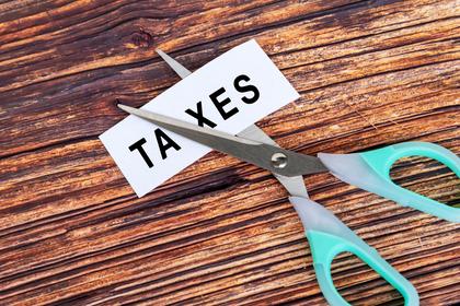 What is the Enterprise Investment Scheme and should you have one?