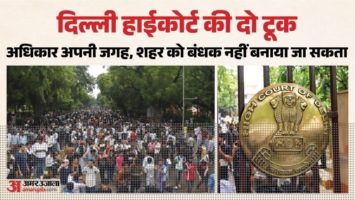 '75 लोग 75 हजार भी हो सकते हैं': आप जंतर मंतर को बंद क्यों नहीं कर देते? दिल्ली HC ने केंद्र से पूछा सवाल