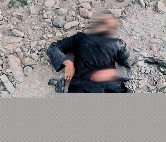 Four armed thieves killed in Kabul