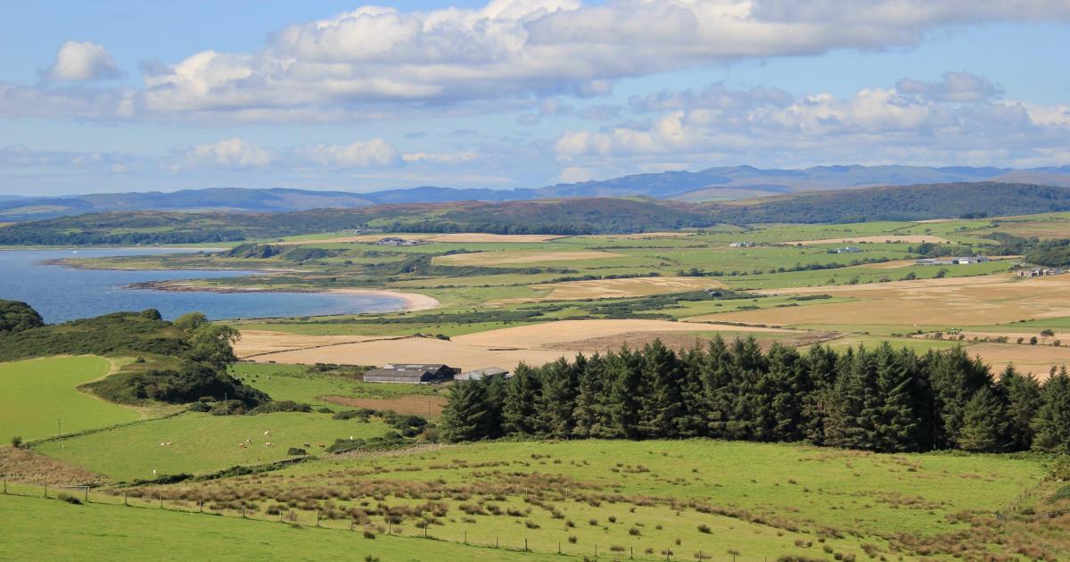 What happens next for Scotland’s Future Farming Investment Scheme