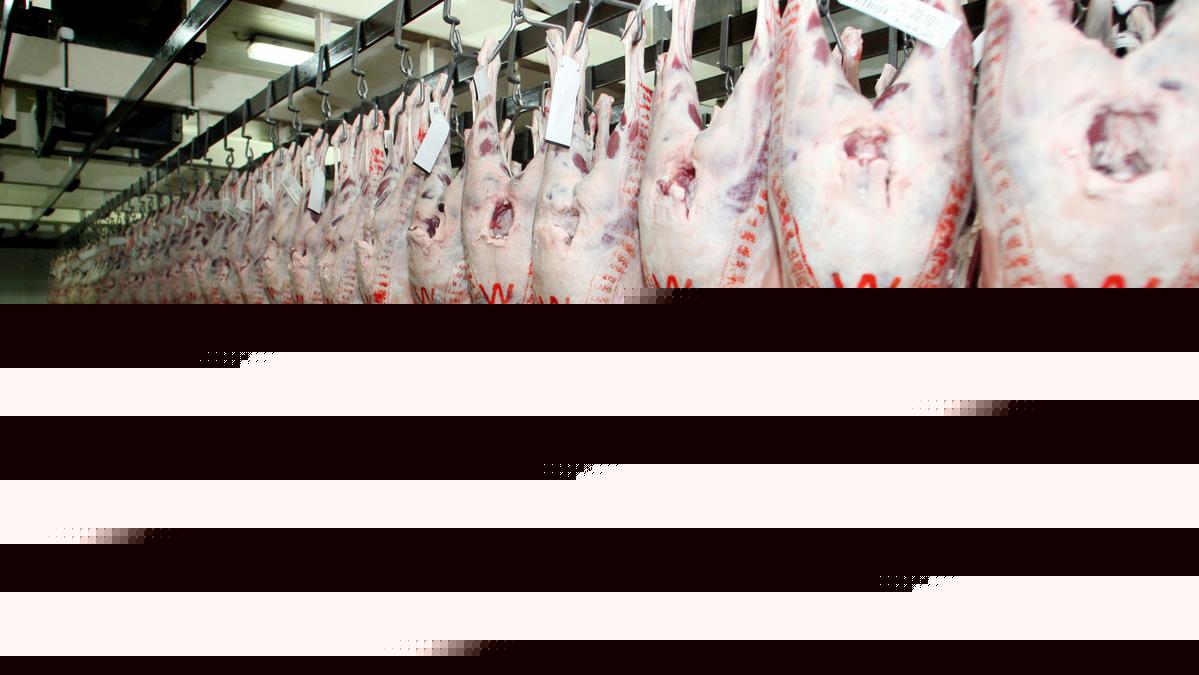 V&V Walsh launches WA’s first MSA-modelled sheepmeat supply program