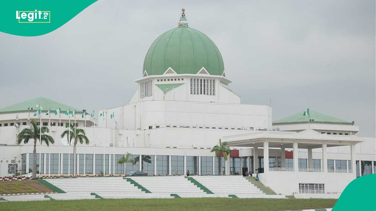 State police: Agbese queries Nigerians over calling 10th Assembly 'rubber stamp'