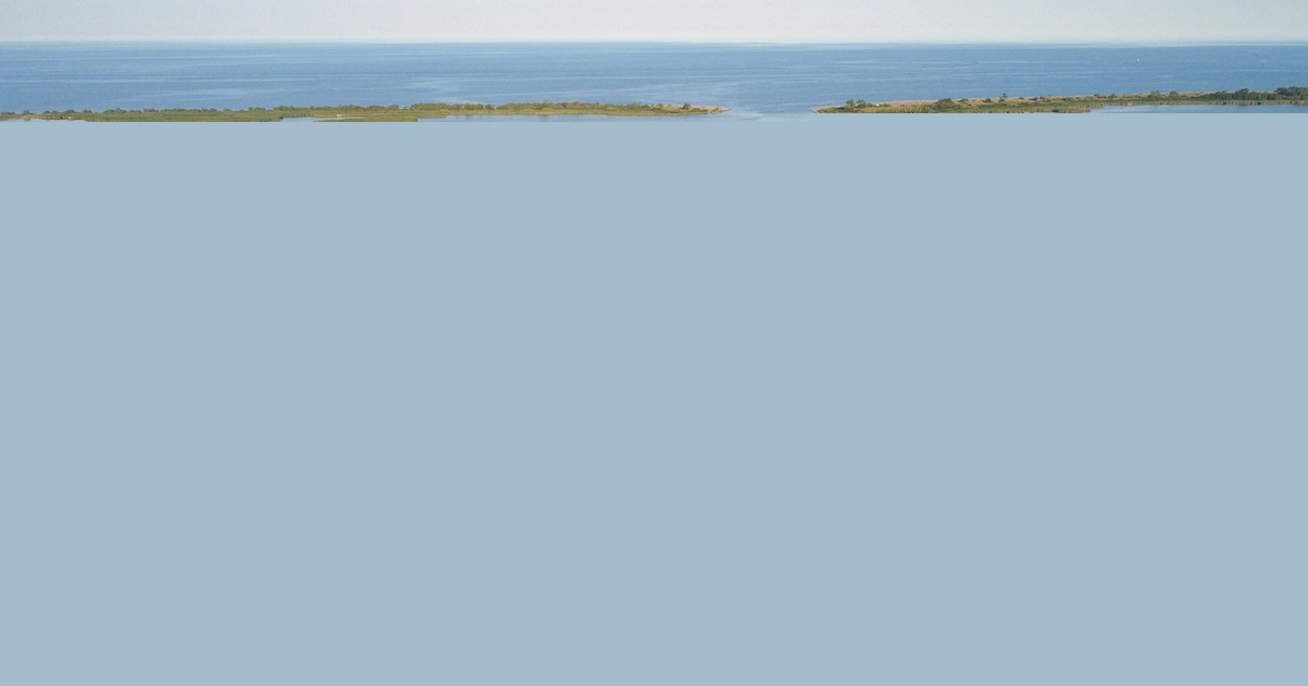 Cuneo salino nel Delta del Po: il fiume è in crisi, cosa si può fare?