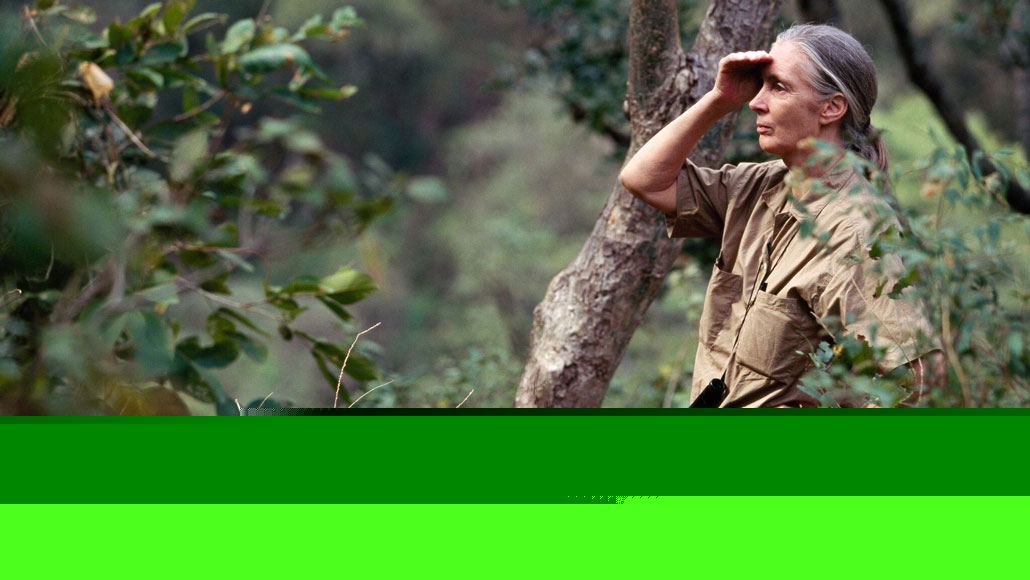Comment on A new exhibit invites you to step into Jane Goodall’s life by What Jane Goodall taught me about bones, loss and not wasting anything - America Latina News