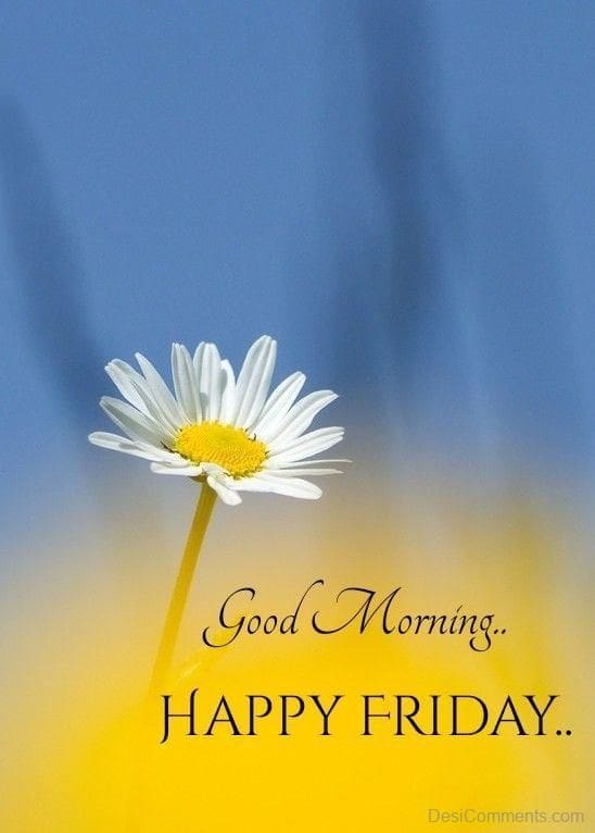 Here is your Friday forecast-enjoy the weekend