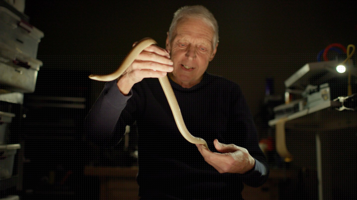 ‘Monsters of God’ Review: ‘Tiger King’ Director’s HBO Docuseries About Reptile Trafficking Is (Relatively) Sober and Nuanced