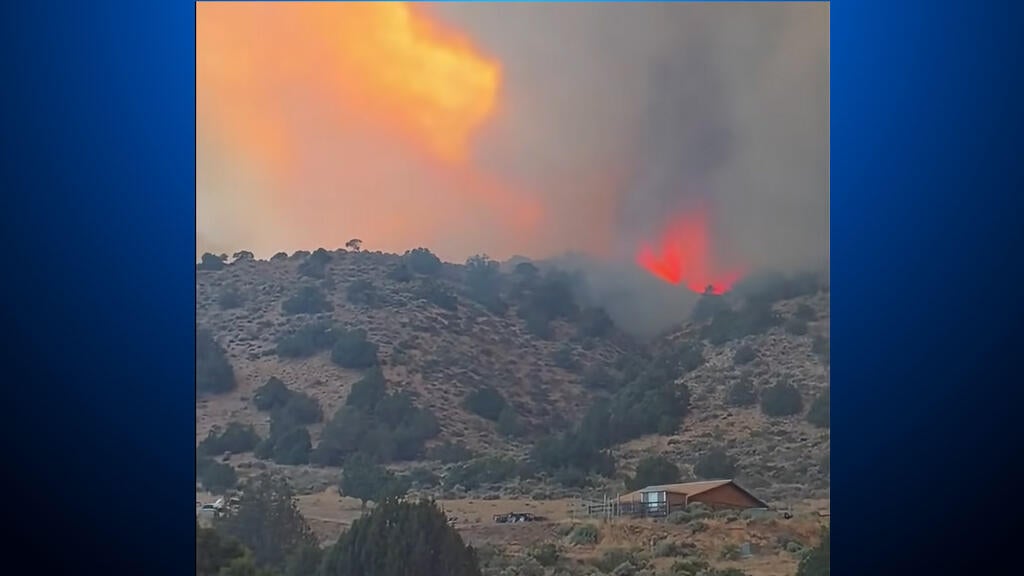 Bug Fire grows along California-Nevada border near Reno; state of emergency declared in Nevada