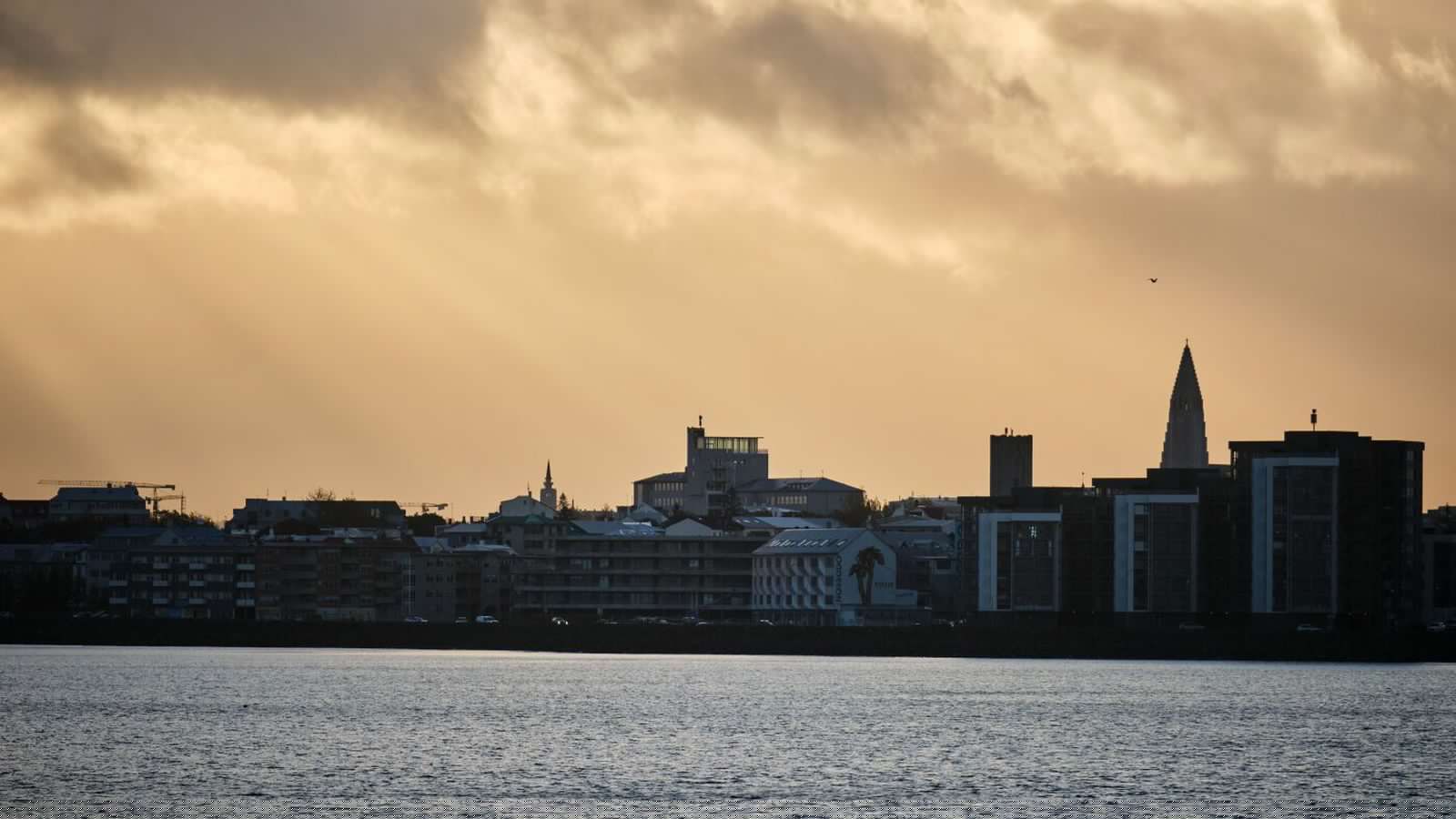 Suð­lægar áttir og úr­koma í flestum lands­hlutum