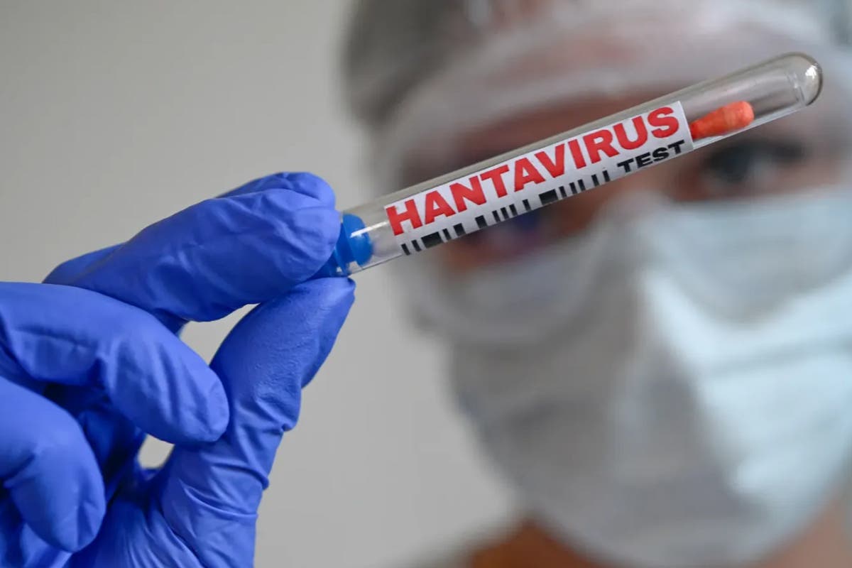 Hantavirus : tous les cas contacts du touriste positif ayant séjourné en France ont été identifiés