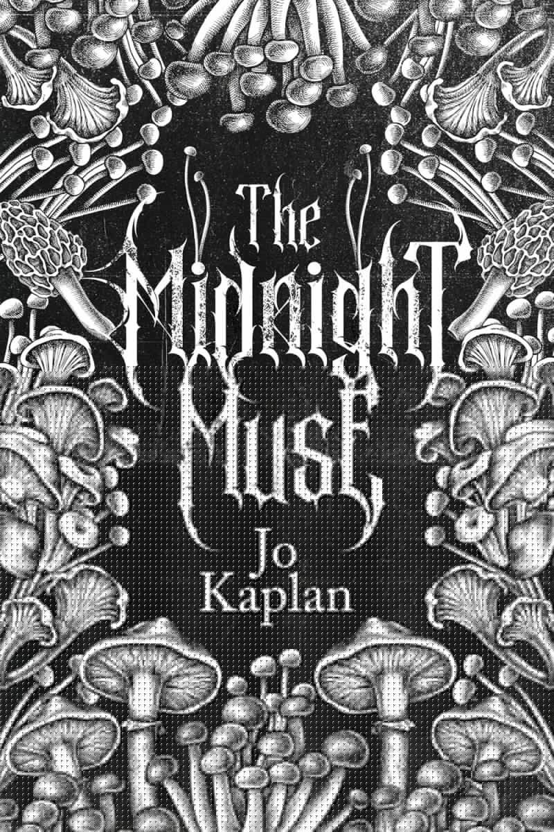 The Midnight Muse by Jo Kaplan