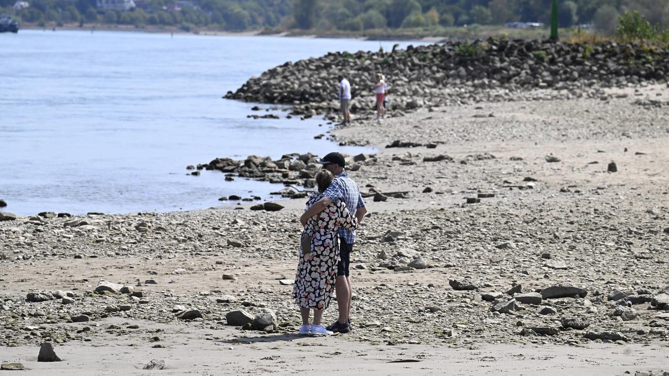 Ausgetrocknete Flüsse: Linke und Grüne kritisieren Kurs der Bundesregierung bei Niedrigwasser
