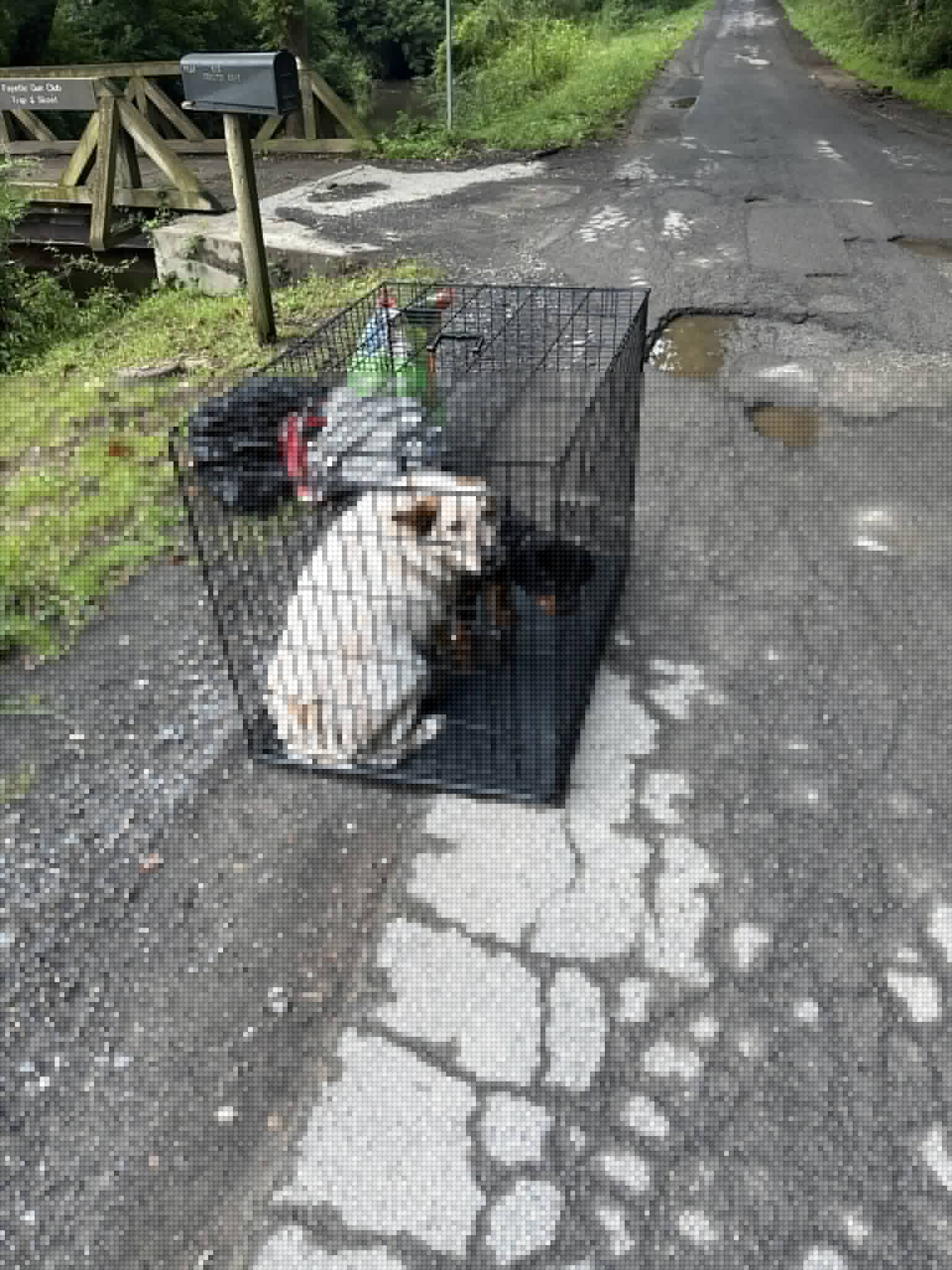 Fayette County Sheriff’s Department investigating following discovery of abandoned dogs outside of the Fayette County Animal Shelter