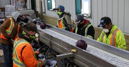 Foreign worker program fails social justice lens, MP says