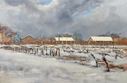 Patricia Feiler Discusses Painting Vineyard in Winter