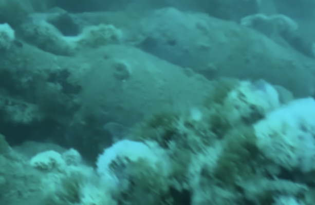 Divers find 2,100-year-old Roman shipwreck off coast of Sicily