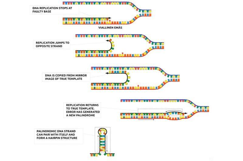 New genes found that can arise 'from nothing'