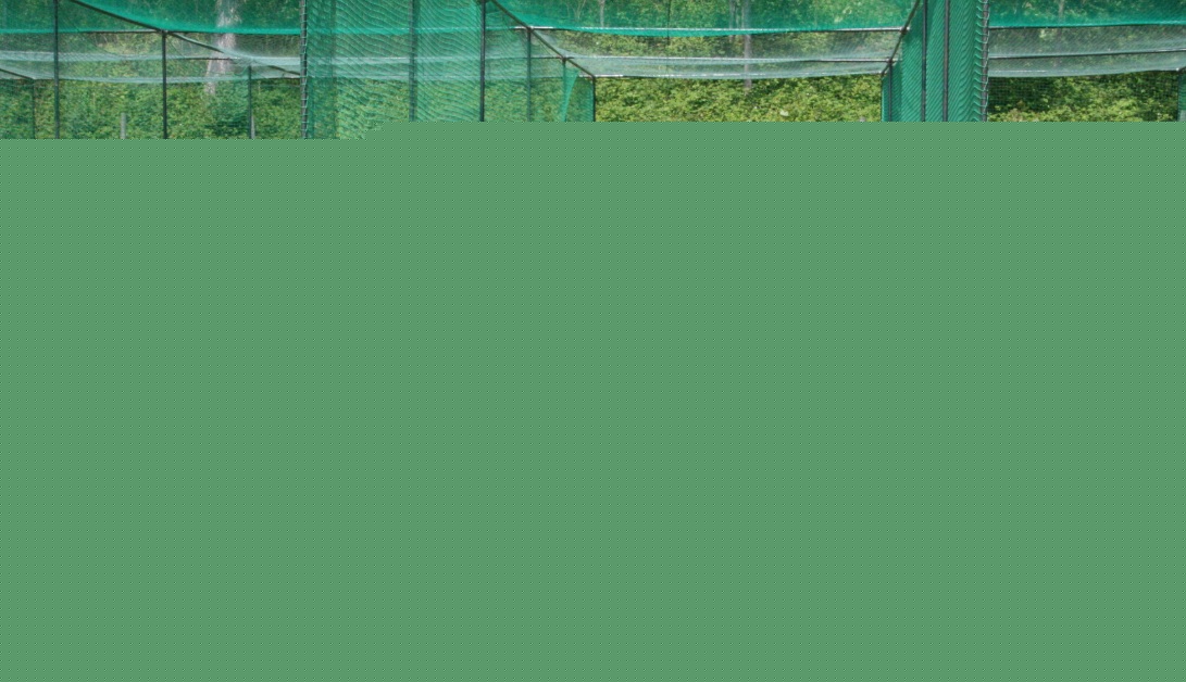Comment on Brighton College applies for permission for 25-year-old astroturf by ChrisC