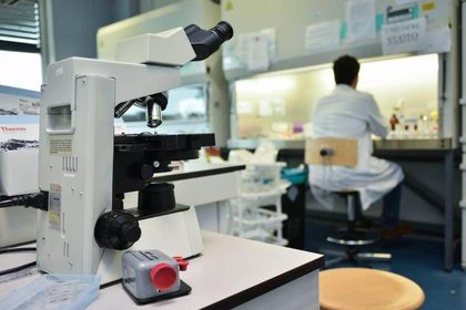 I sintomi precoci del morbo di Parkinson: i segnali che precedono il tremore