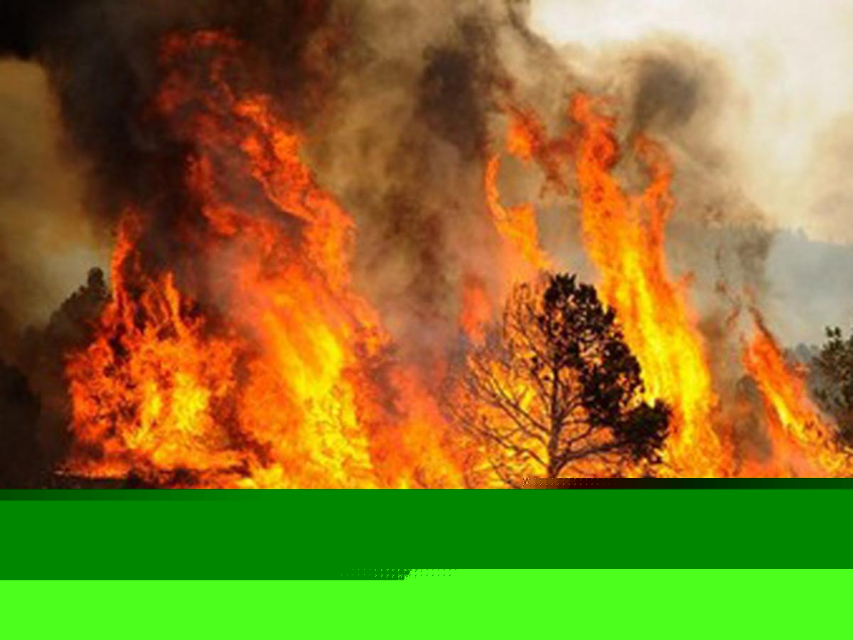 Here's How to Track Active Wildfires in Montana this Summer