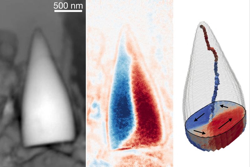 Magnetic fossils may reveal ancient creature’s internal ‘GPS system’