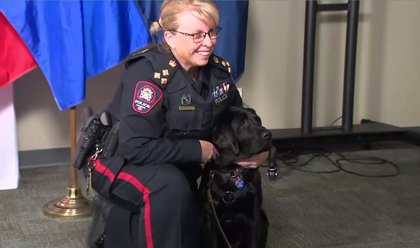 Calgary police welcome ‘Sadie’; the force’s first stress intervention dog
