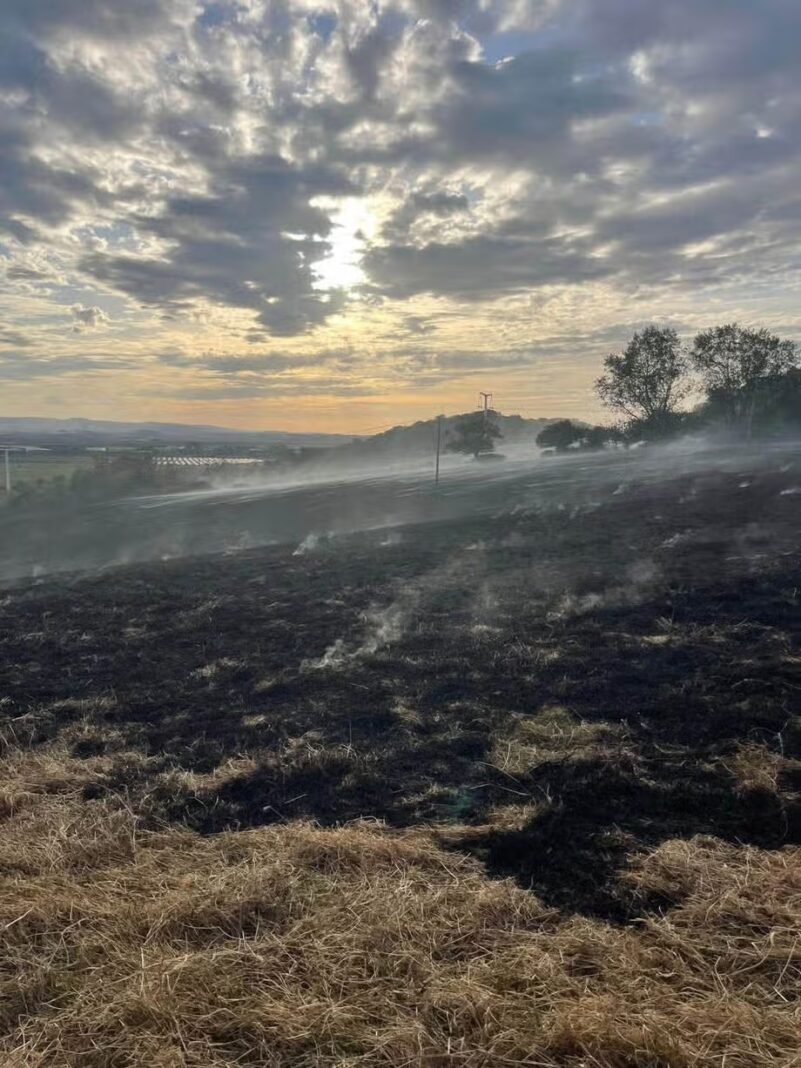 Fire crews tackle large grassfire in Puriton that also destroys minibus