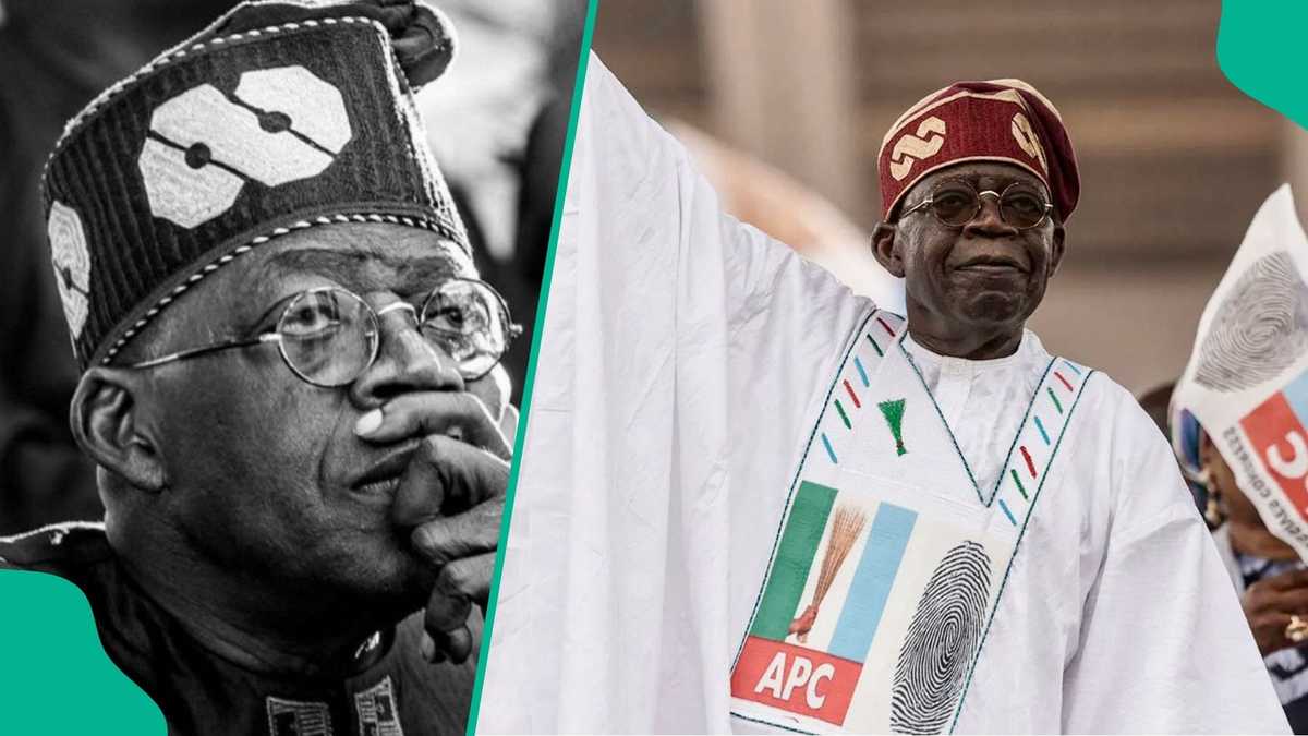 2027 elections: Popular Nigerian lawyer reveals 6 reasons Tinubu will win, list emerges