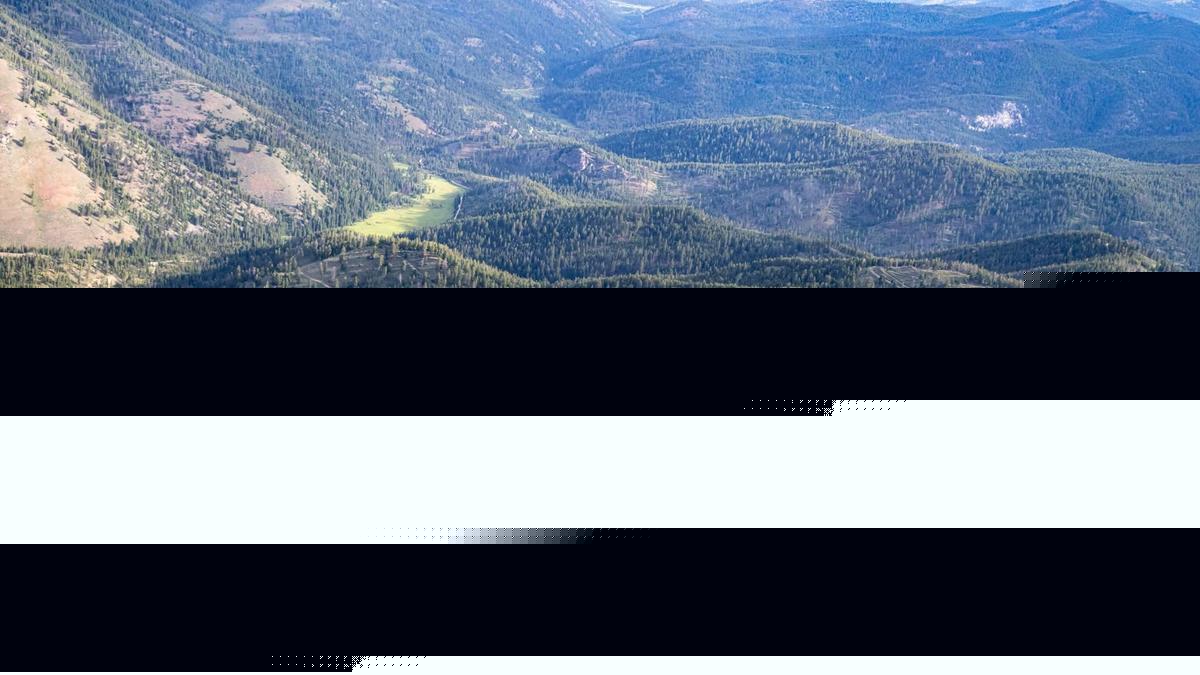 USFS fast-tracks three mine exploration projects