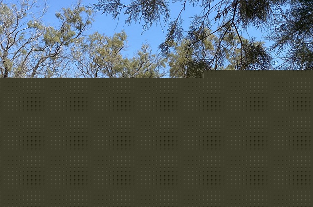 Σάκης Αρναούτογλου: Η πρόγνωvη για τον καιρό τον Δεκαπενταύγουστο – Πού θα βρέξει (βίντεο)