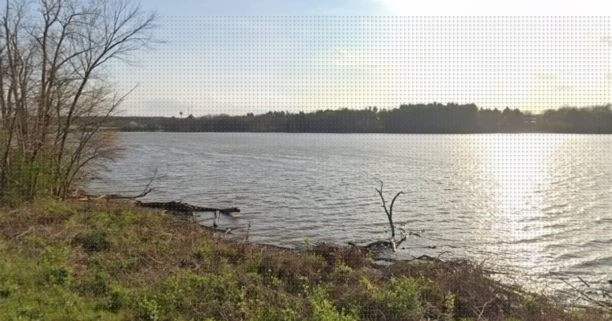 Five People Die Trying to Save Struggling Swimmer